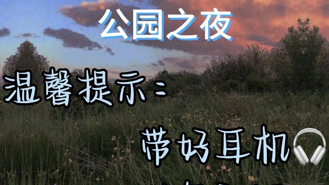公园之夜